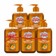 Stanfresh Hygiene Liquid Hand Wash Bergamot Orange 500ml(Pack Of 5) - Stanvac Prime