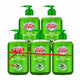 Stanfresh Hygiene Liquid Hand Wash Neem 500ml(Pack Of 5) - Stanvac Prime