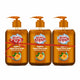 Stanfresh Hygiene Liquid Hand Wash Bergamot Orange 500ml(Pack Of 3) - Stanvac Prime