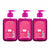 Stanfresh Hygiene Liquid Hand Wash Rose 500ml (Pack Of 3) - Stanvac Prime