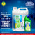 Stanfresh Toilet Cleaner - Mint 5 Ltr Plus 500 ml