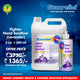 Stanrelief Hand Sanitizer-Lavender 5 Ltr with Ayurvedic Protection Plus 500 ml PushPull